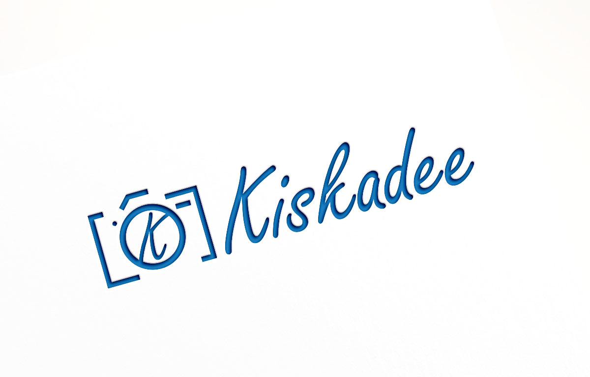 Logo Design by abstraxt for Kiskadee LLC | Design #14232738