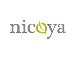 Logo Design by C Corner