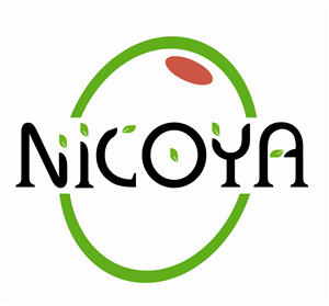 Logo Design by Benoit