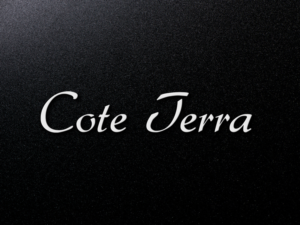 Logo Design by AlbertsCreation