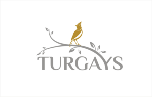 Logo Design by Soul Light for this project | Design: #14218278