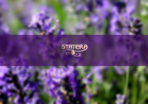 Logo Design by A.STUDIO for this project | Design: #14376639