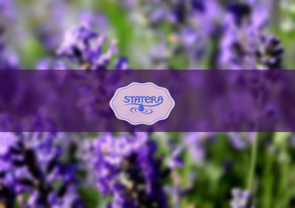 Logo Design by A.STUDIO for this project | Design #14376828