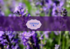 Logo Design by A.STUDIO for this project | Design: #14376828