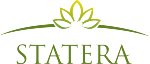 Diseño de Logo por tembre studio para este proyecto | Diseño: #14312704