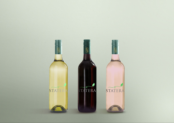 Logo Design by tani_sha321 for this project | Design #14284707