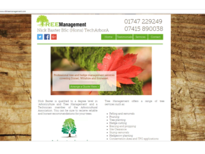 Logo Design by Filip M for Tree Management | Design: #14394701