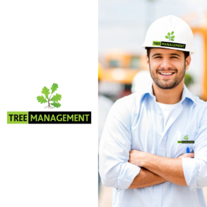 Logo Design by Alpha pix