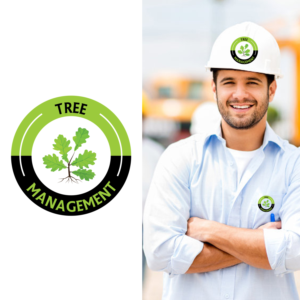 Logo Design by Alpha pix for Tree Management | Design: #14310360
