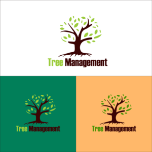 Logo Design by Spiders Arena LLC