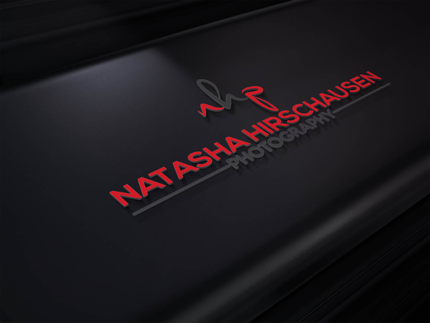 Logo Design by Seinfeld cast for Natasha Hirschausen Photography | Design #14233308