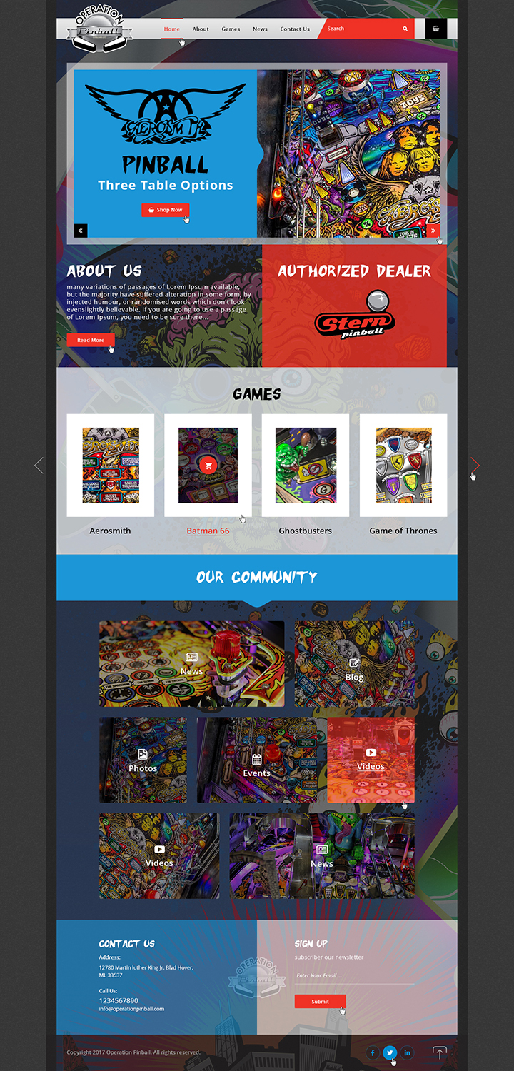 Web Design by Ved Web Services for Operation Pinball  | Design #14270848