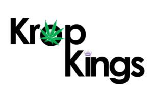 Logo Design by ndjuranovic2708