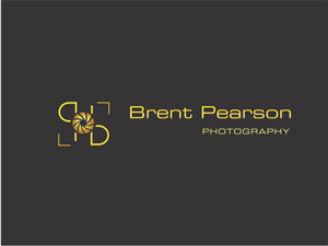 Logo Design by danby