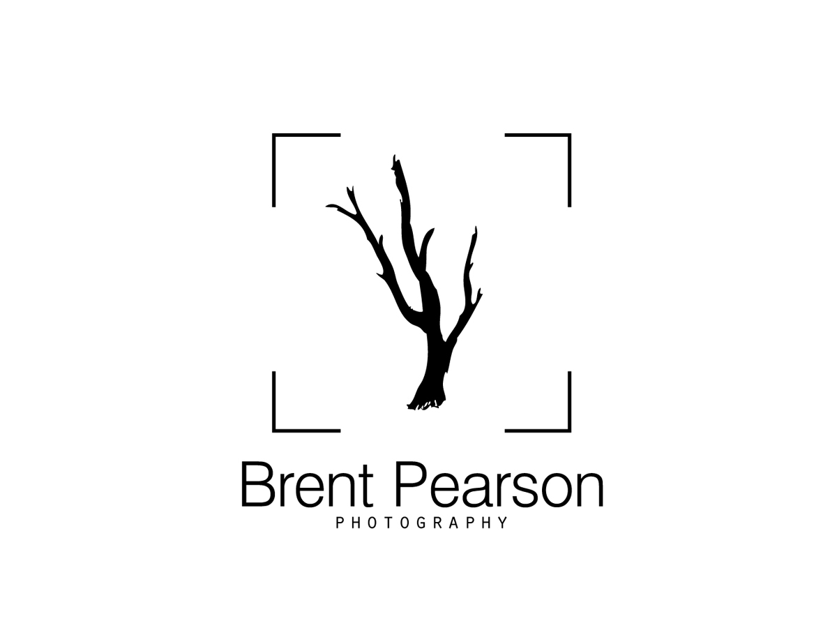 Logo Design by Vinura for this project | Design #554981