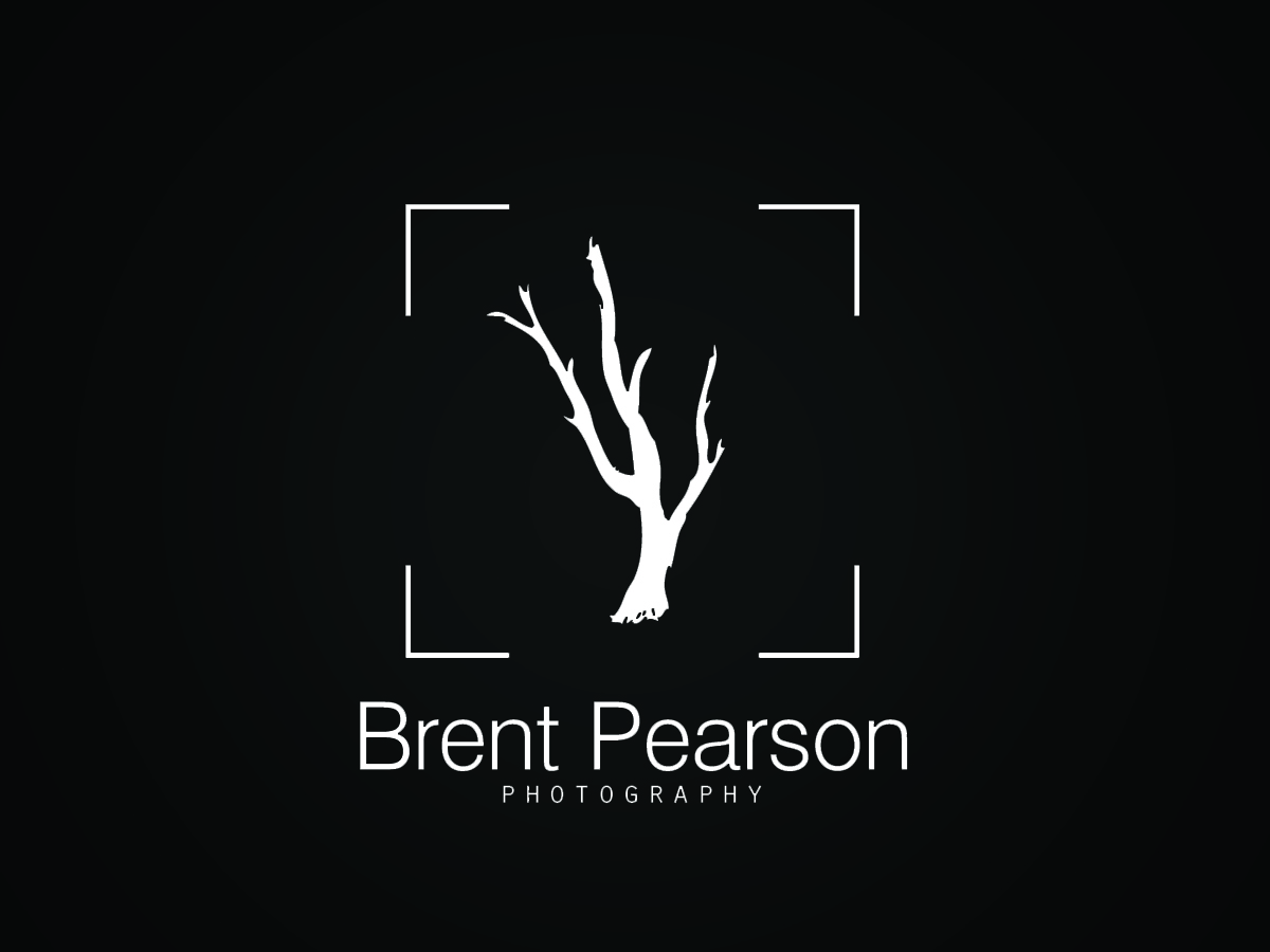 Logo Design by Vinura for this project | Design #554982