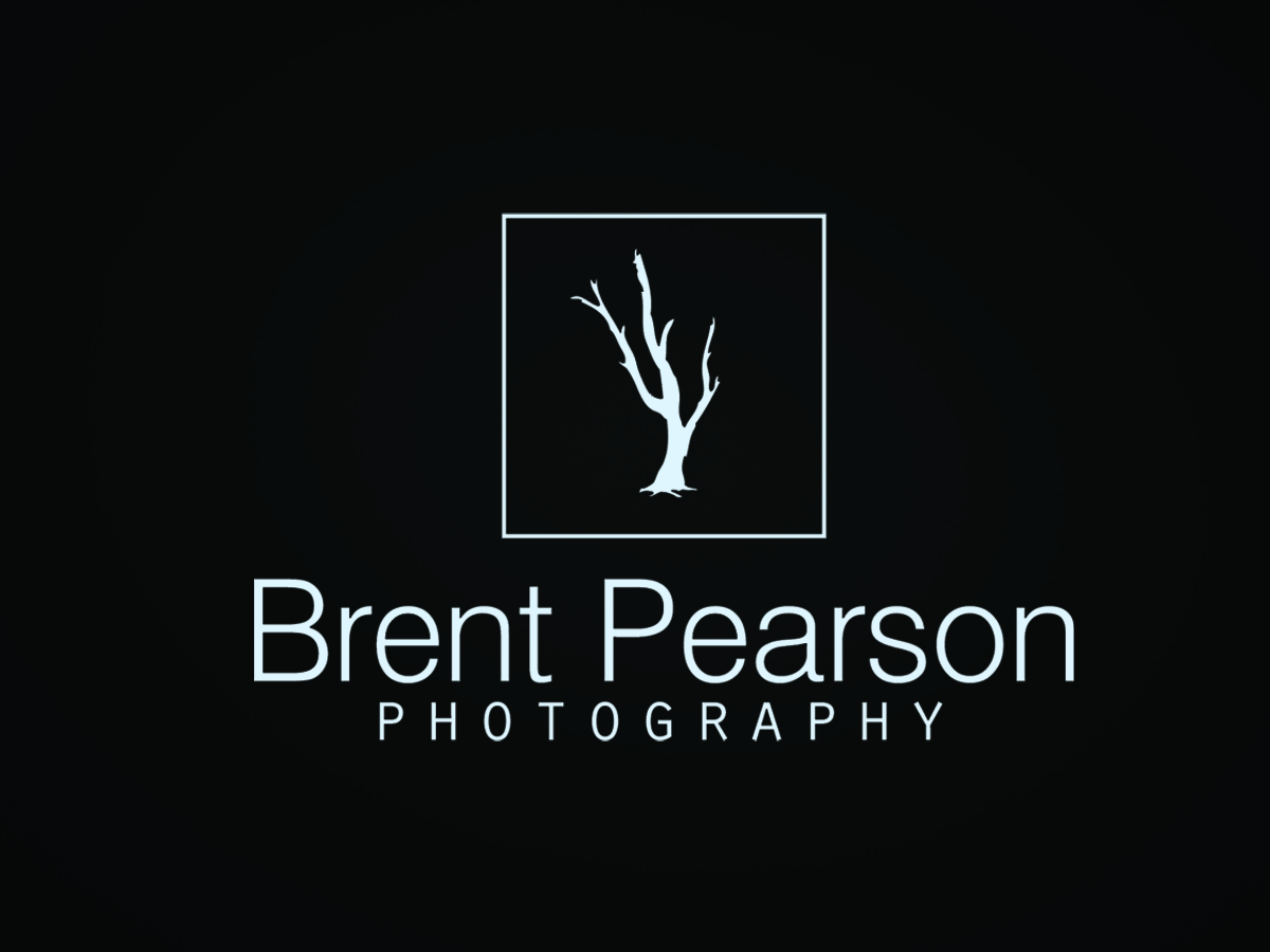 Design de Logo par Vinura pour ce projet | Design #555270