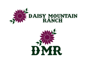Logo Design by NILDesigns
