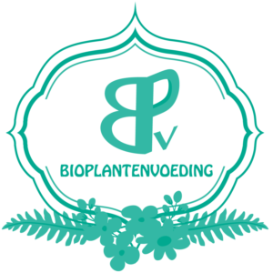Logo Design by mizou99