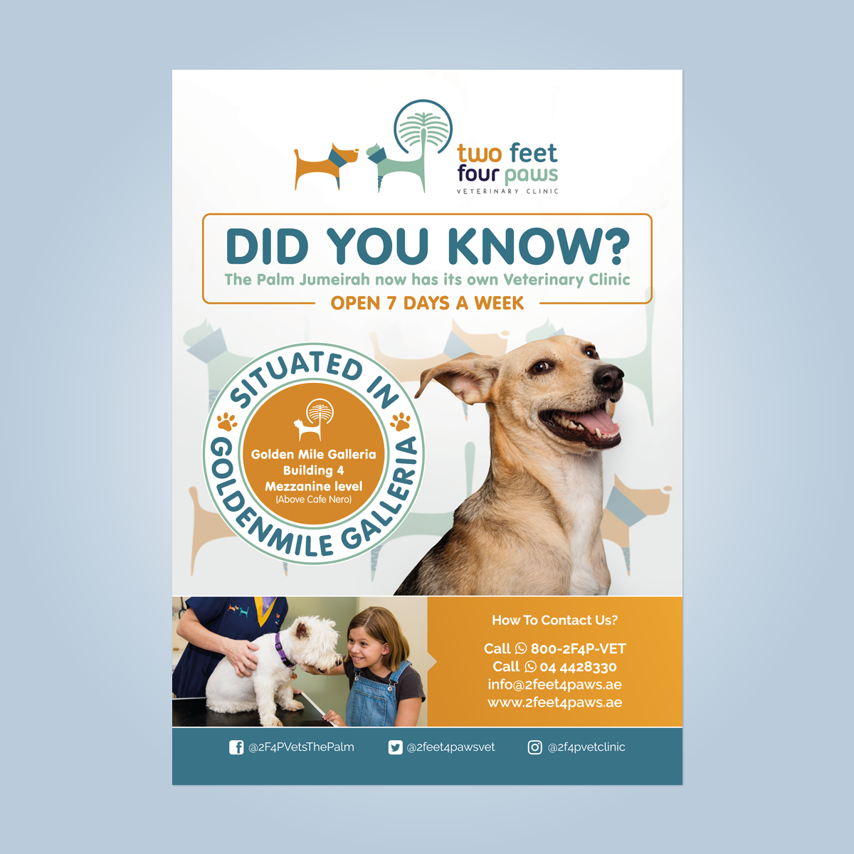 Flyer Design by nadhisa87 for 2Feet4Paws | Design #14299927