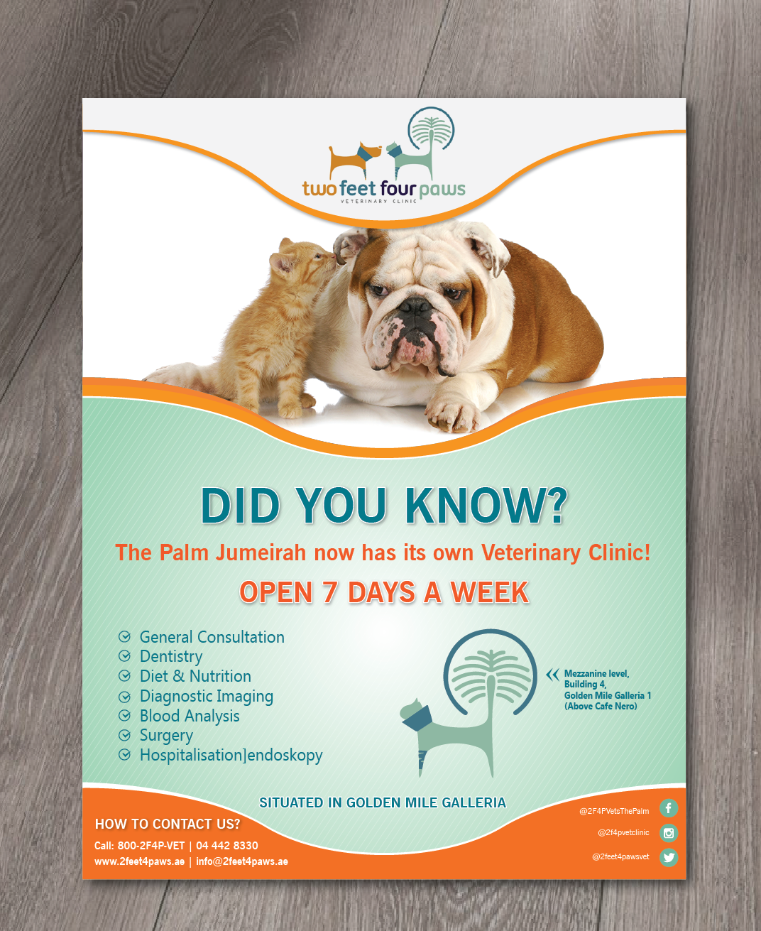 Design de Flyer par alex989 pour 2Feet4Paws | Design #14240090