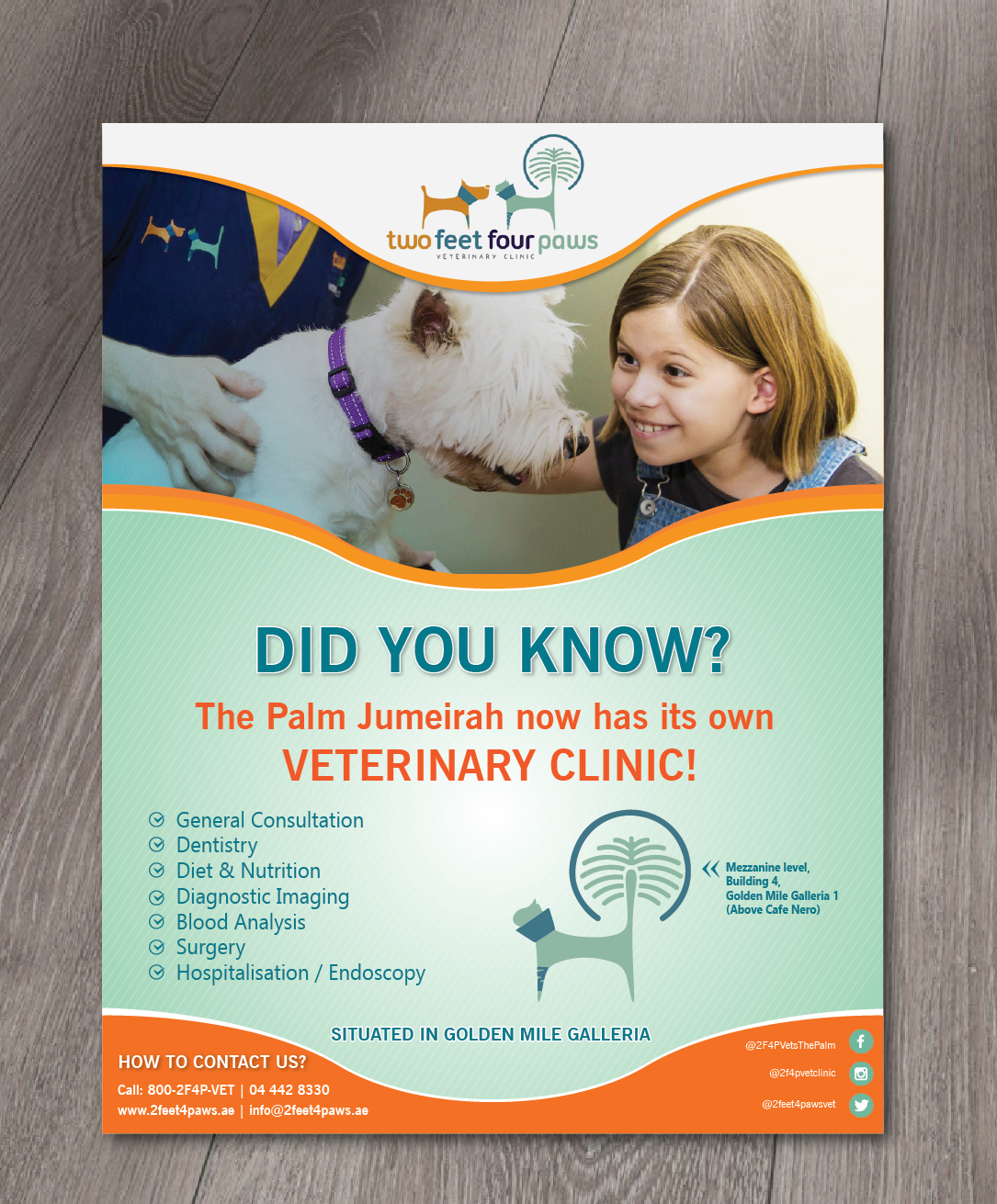 Flyer Design by alex989 for 2Feet4Paws | Design #14265434