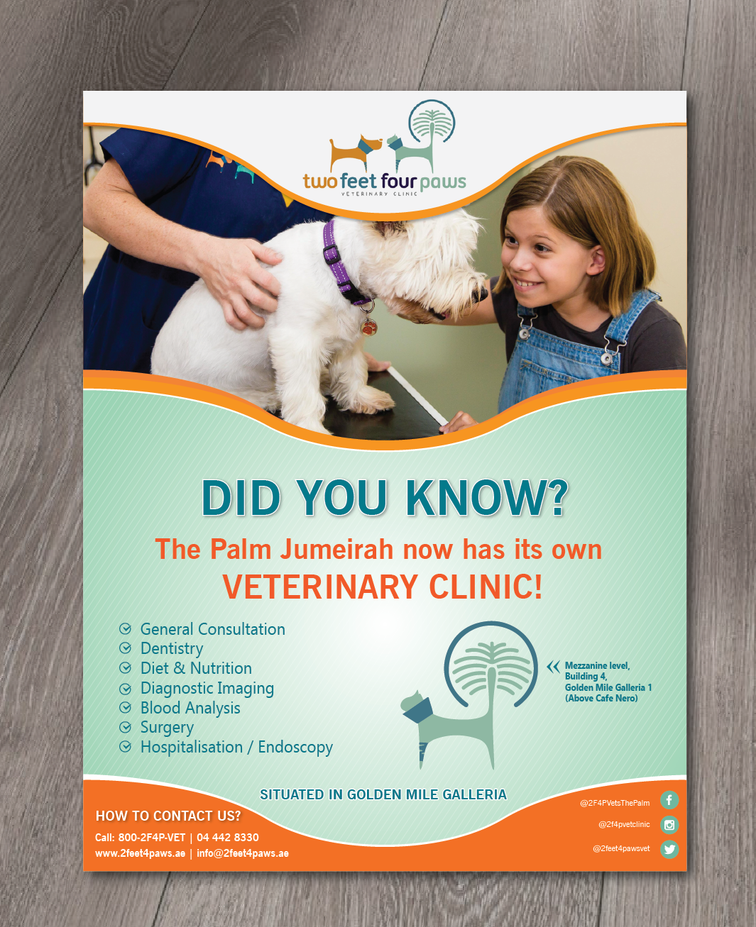 Flyer Design by alex989 for 2Feet4Paws | Design #14265851