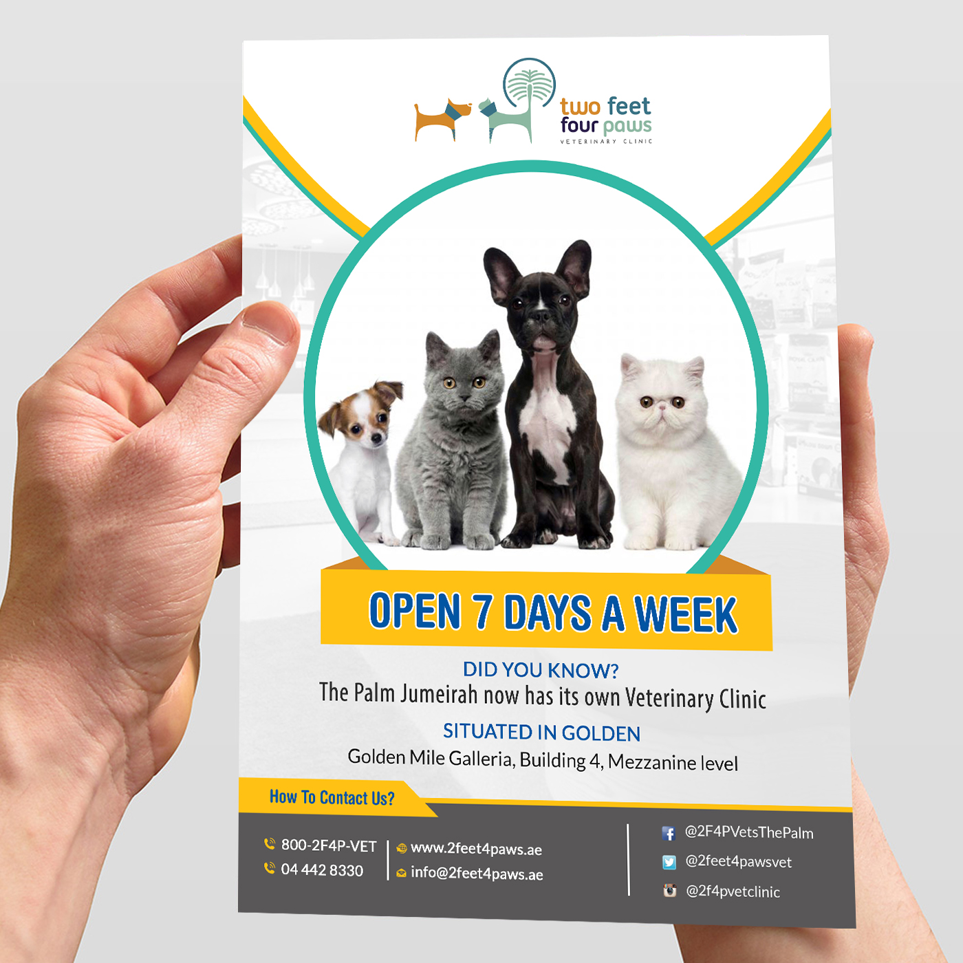 Flyer Design by creative.bugs for 2Feet4Paws | Design #14255239