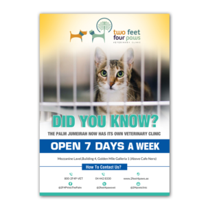 Design de Flyer par creative.bugs pour 2Feet4Paws | Design : #14255861