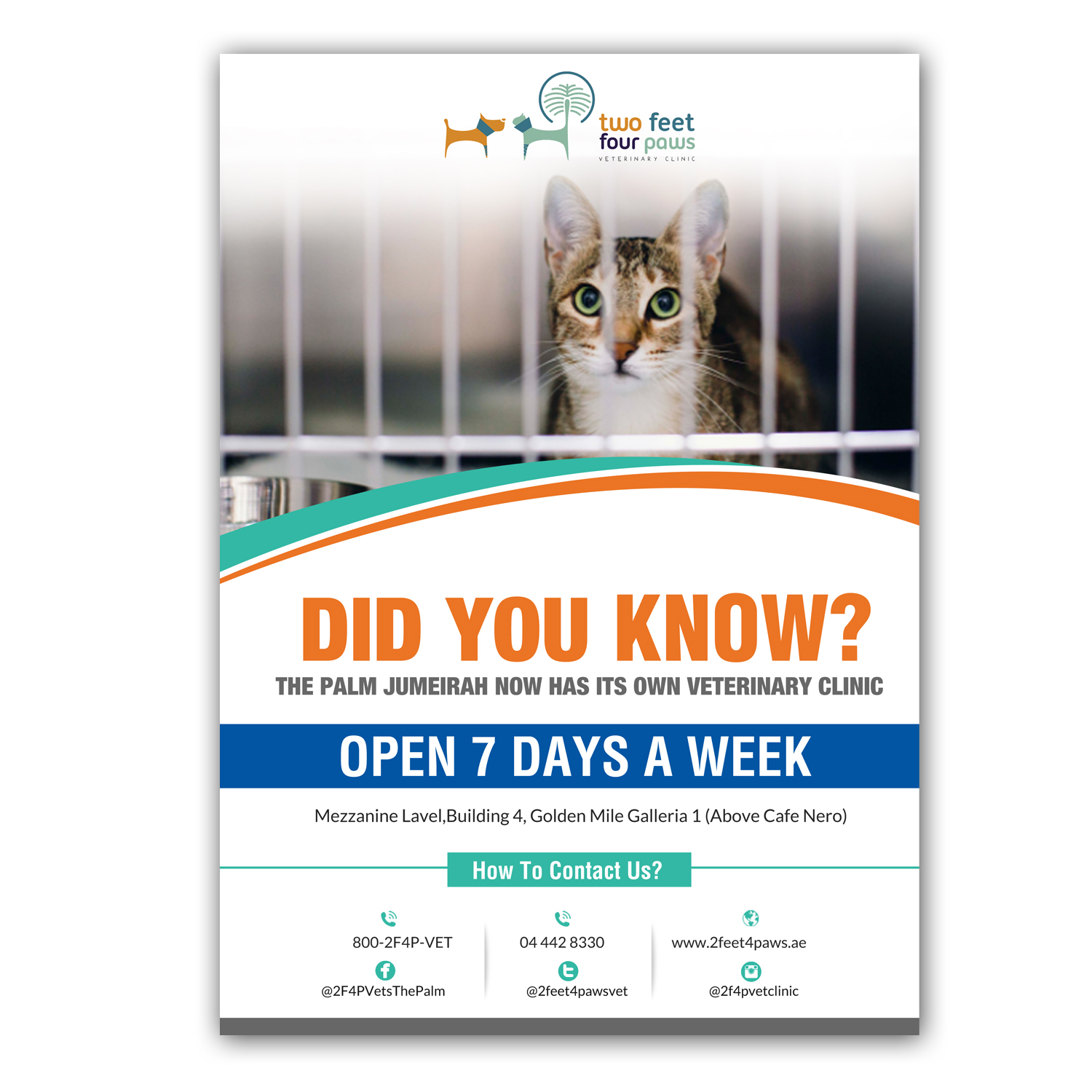 Flyer Design by creative.bugs for 2Feet4Paws | Design #14255862