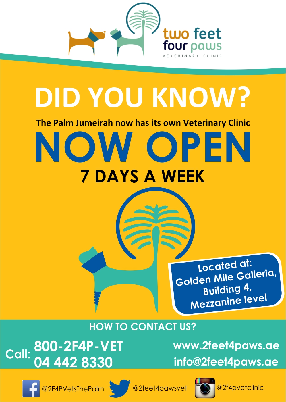 Flyer Design by j.wachirawahome for 2Feet4Paws | Design #14257274