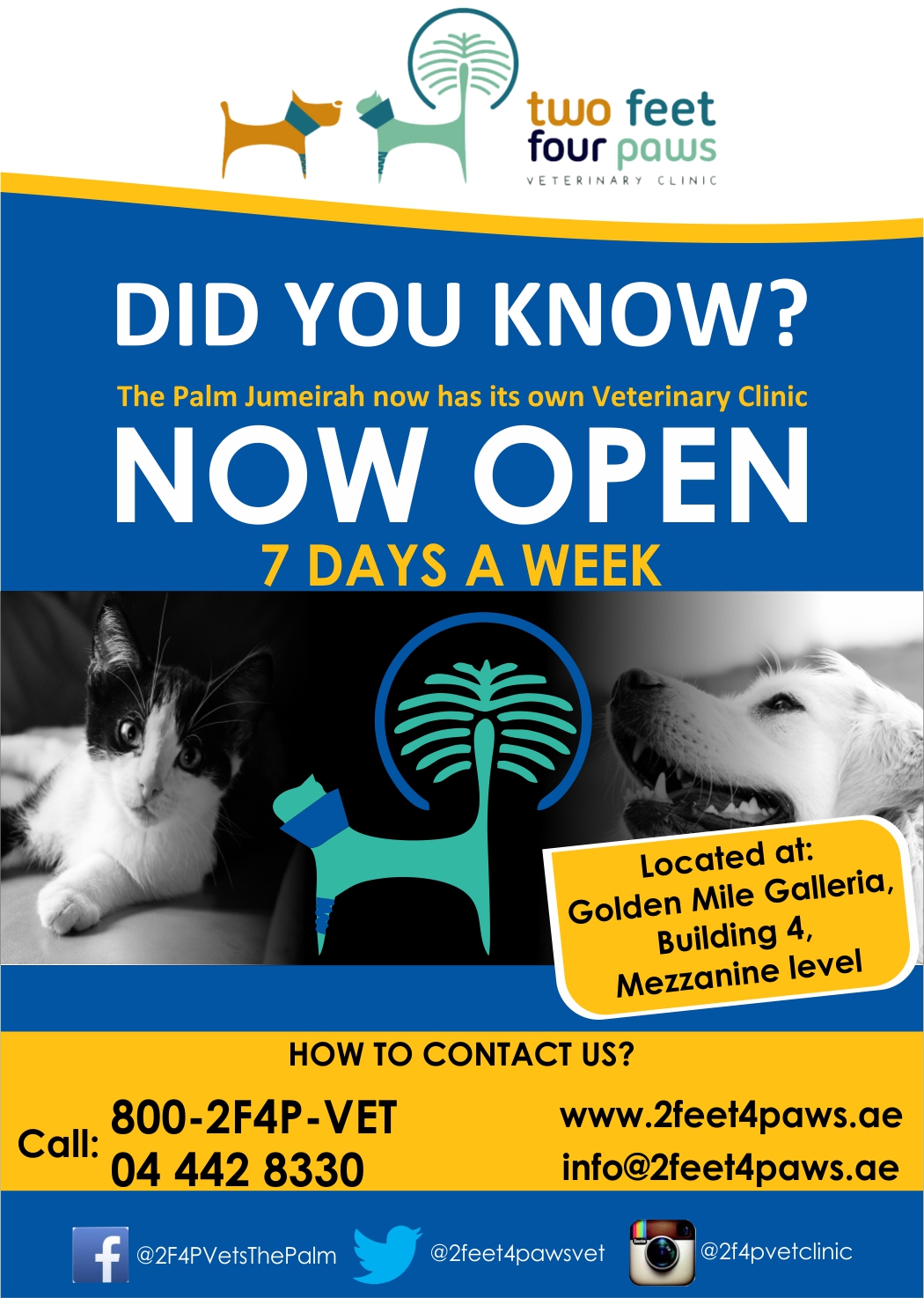 Flyer Design by j.wachirawahome for 2Feet4Paws | Design #14257327