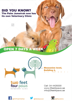 Design de Flyer par Randesign pour 2Feet4Paws | Design : #14253158