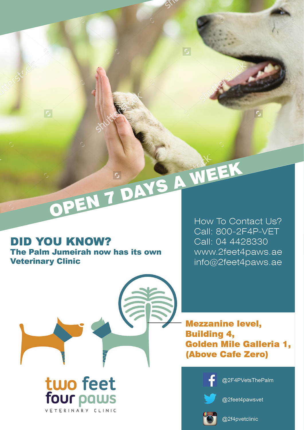 Diseño de Flyer por Randesign para 2Feet4Paws | Diseño #14253159