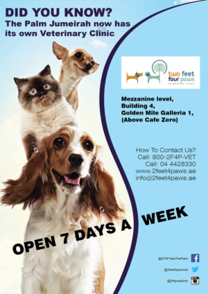 Flyer Design by Randesign for 2Feet4Paws | Design: #14253160