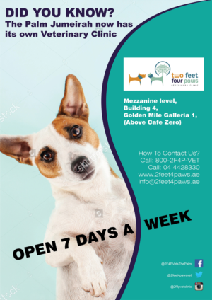 Flyer Design by Randesign for 2Feet4Paws | Design: #14253161
