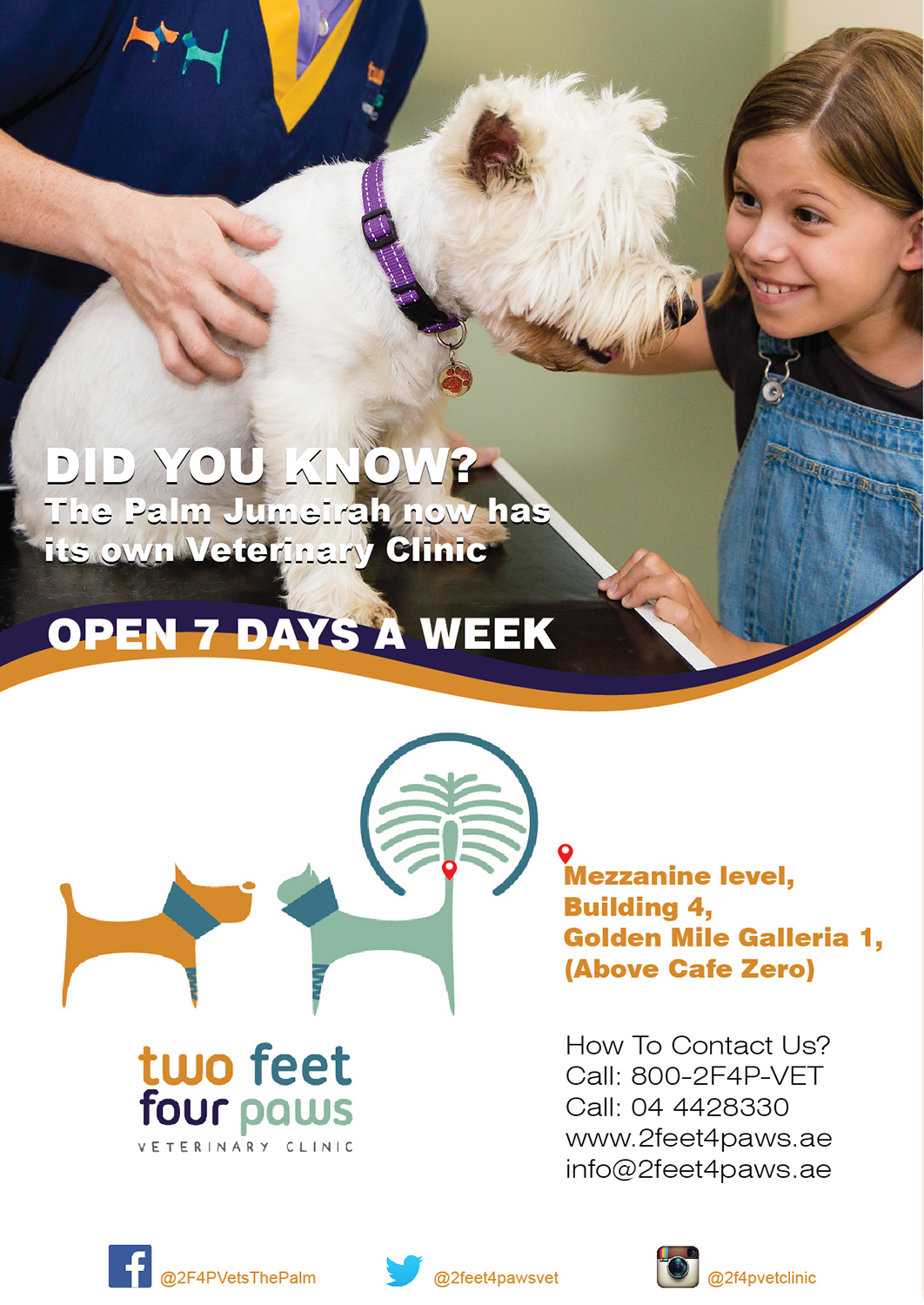 Flyer-Design von Randesign für 2Feet4Paws | Design #14266743