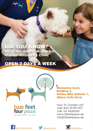 Flyer Design by Randesign for 2Feet4Paws | Design: #14266743