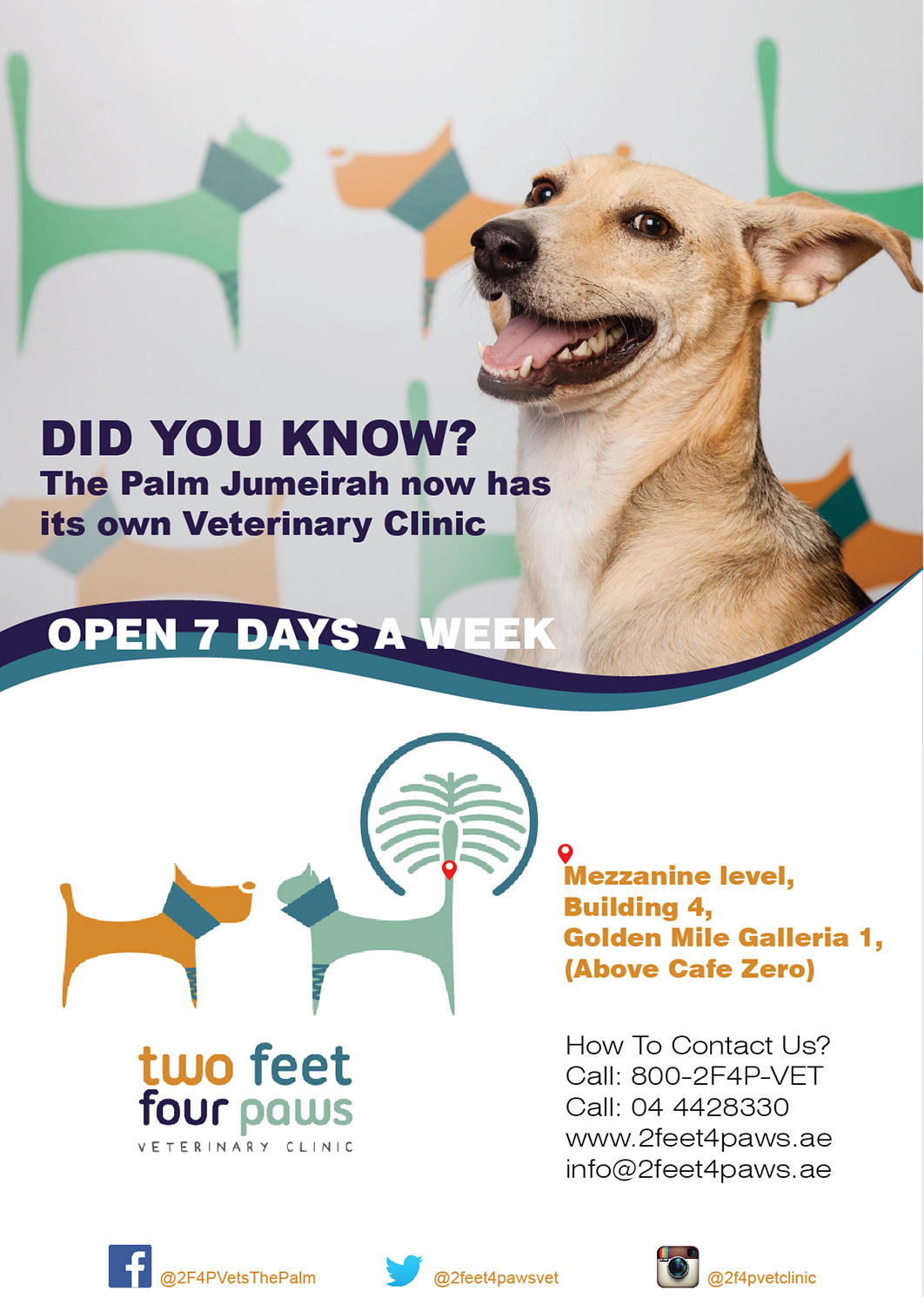 Flyer-Design von Randesign für 2Feet4Paws | Design #14266745