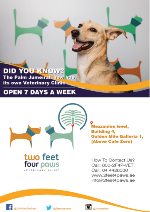 Flyer Design by Randesign for 2Feet4Paws | Design: #14268680