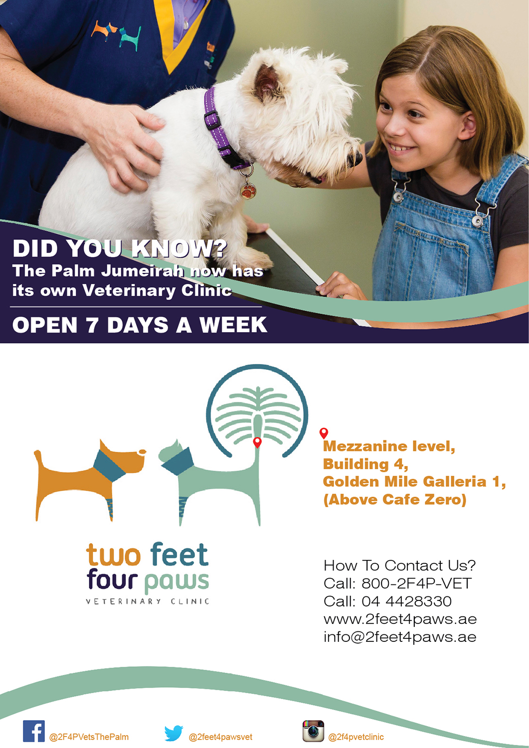 Diseño de Flyer por Randesign para 2Feet4Paws | Diseño #14268681