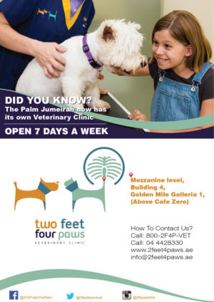 Flyer Design by Randesign for 2Feet4Paws | Design: #14268681