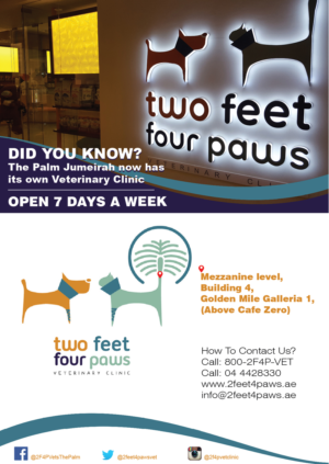 Flyer Design by Randesign for 2Feet4Paws | Design: #14268682