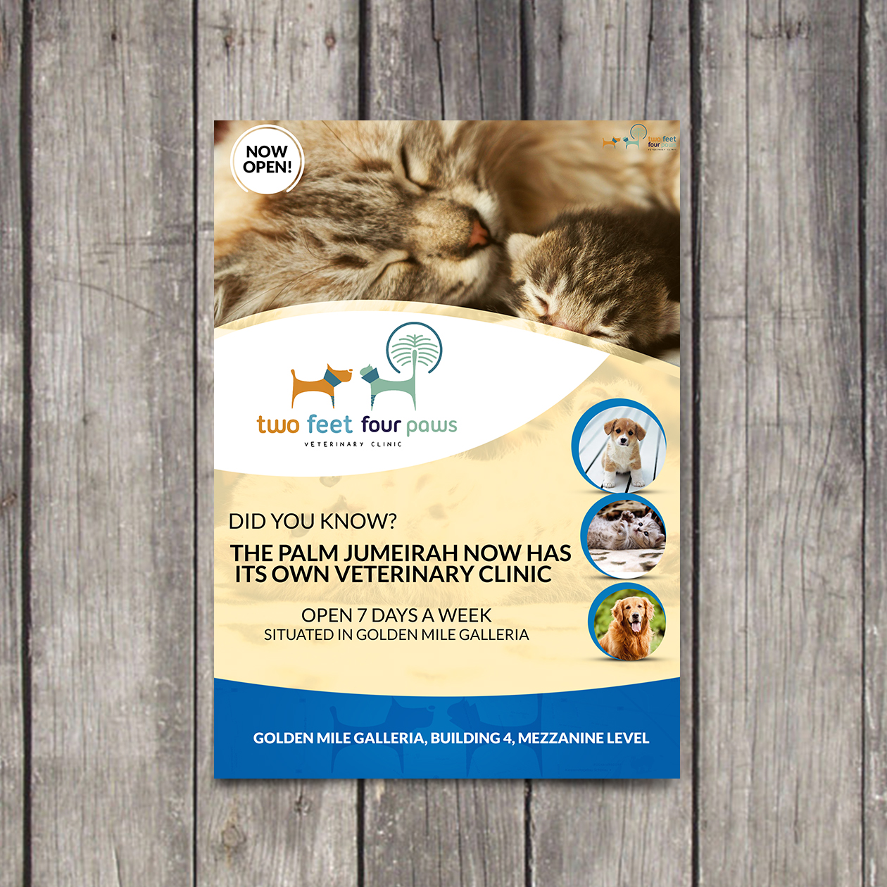 Flyer Design by Omar Rezk for 2Feet4Paws | Design #14258581