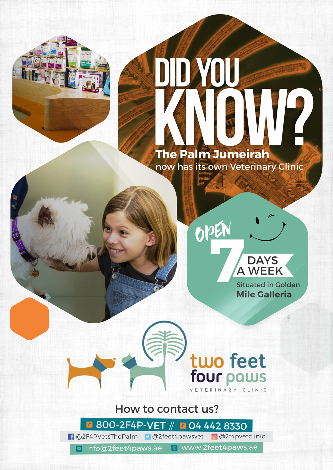 Flyer-Design von Marketing Wings für 2Feet4Paws | Design #14268334