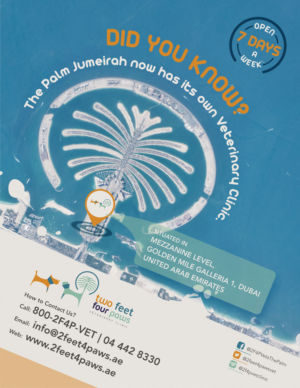 Design de Flyer par Marketing Wings pour 2Feet4Paws | Design : #14268337