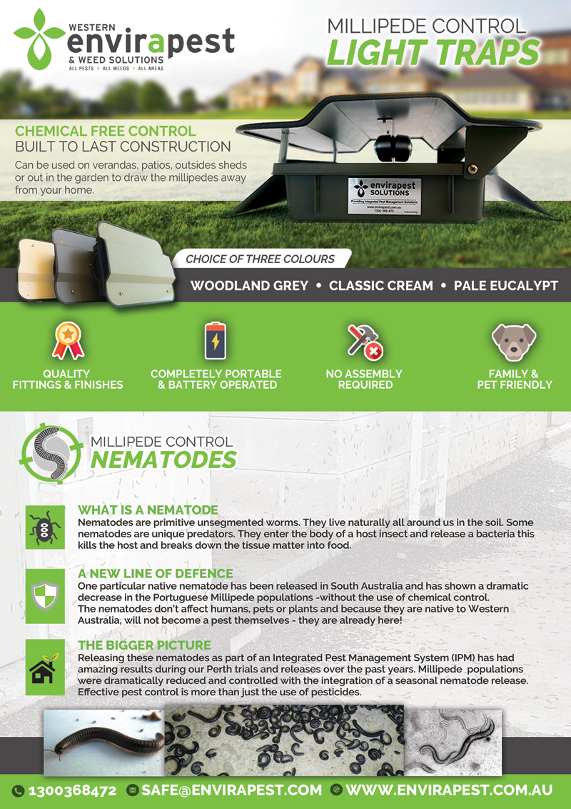 Postcard Design by alessandroevge for this project | Design #14255134