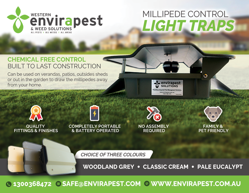 Postcard Design by alessandroevge for this project | Design #14255153