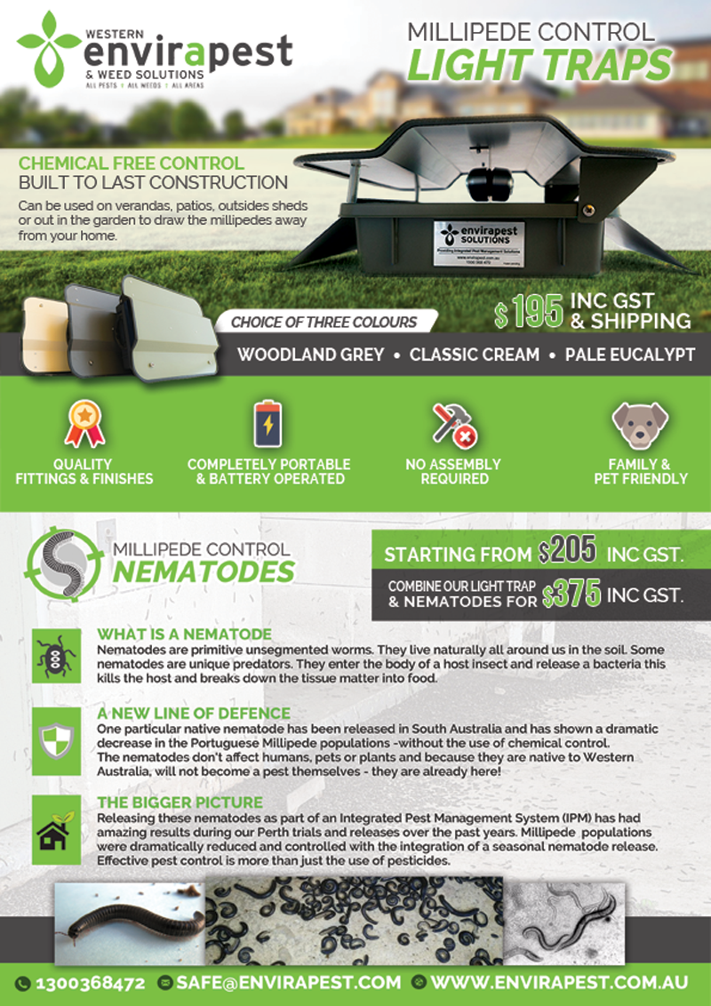 Postcard Design by alessandroevge for this project | Design #14267596