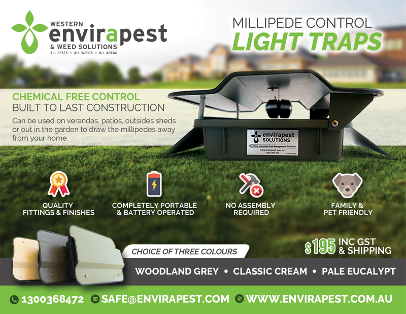 Postkarten-Design von alessandroevge für dieses Projekt | Design #14267657